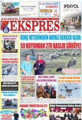 ANADOLU EKSPRES